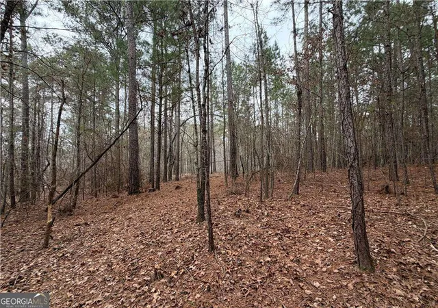 4th image of 1700 Northwoods Dr, Greensboro, GA 30642 | MLS# 10785062