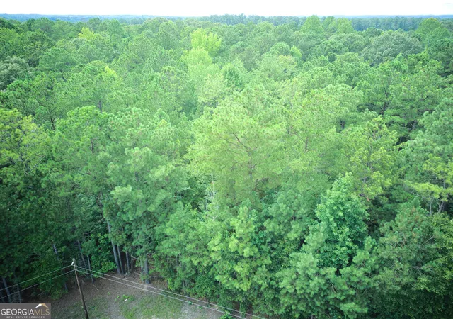3rd image of 0 Parcel 100 Judge Brown Road, Valley, AL 36854 | MLS# 10828785