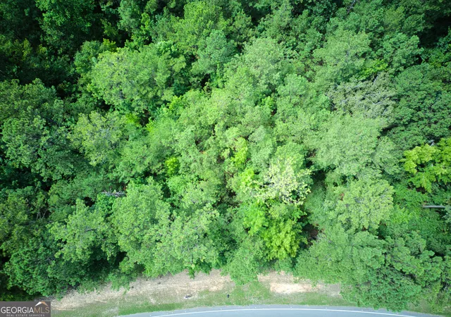 4th image of 0 Parcel 100 Judge Brown Road, Valley, AL 36854 | MLS# 10828785