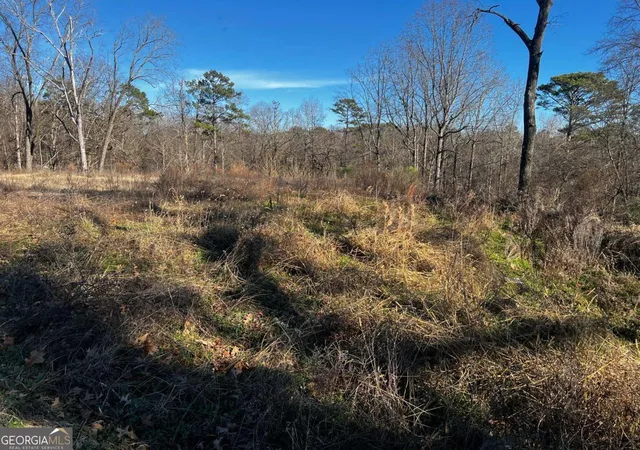 Photo 2 of Land for sale at 3092 Miller Rd, Lithonia, GA 30038 | MLS# 10709296 | Listing updated on 2026-05-08