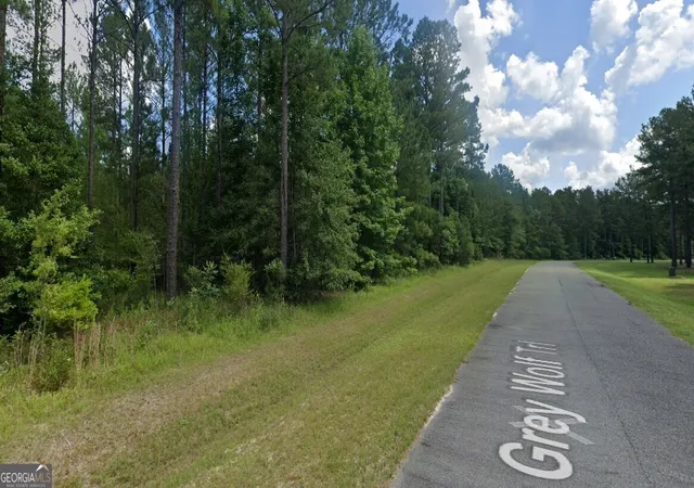 2nd image of 0 Grey Wolf Trl, Dublin, GA 31021 | MLS# 10607322