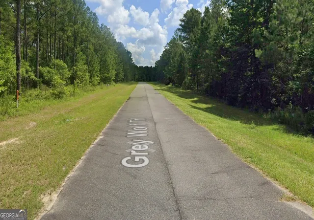 3rd image of 0 Grey Wolf Trl, Dublin, GA 31021 | MLS# 10607322