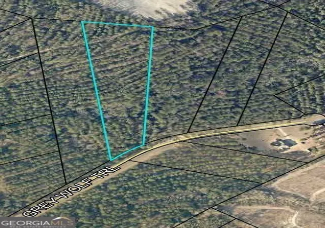 4th image of 0 Grey Wolf Trl, Dublin, GA 31021 | MLS# 10607322