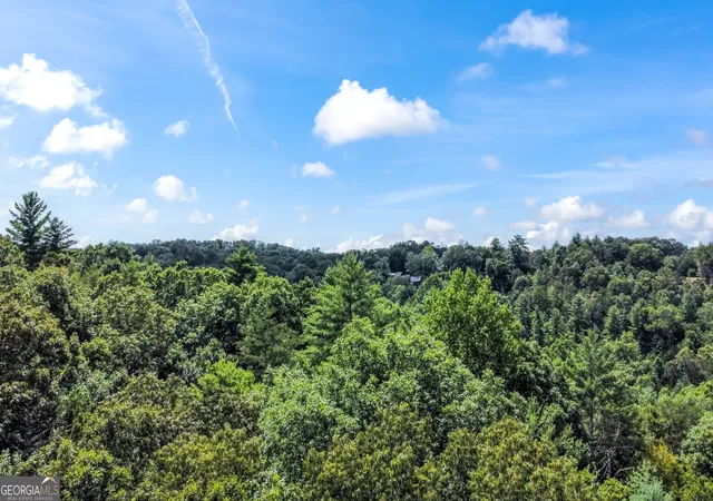 Homes for sale in Blue Ridge, GA | Lot 17 Misty Mountain Trl, Blue Ridge, GA 30513 | MLS# 10680677