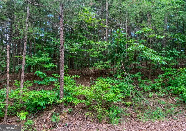 Homes for sale in Blue Ridge, GA | Lot 17 Misty Mountain Trl, Blue Ridge, GA 30513 | MLS# 10680677