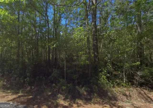 Photo 2 of Land for sale at 3501 Blues Reach Rd, Townsend, GA 31331 | MLS# 10833256 | Listing updated on 2026-10-05