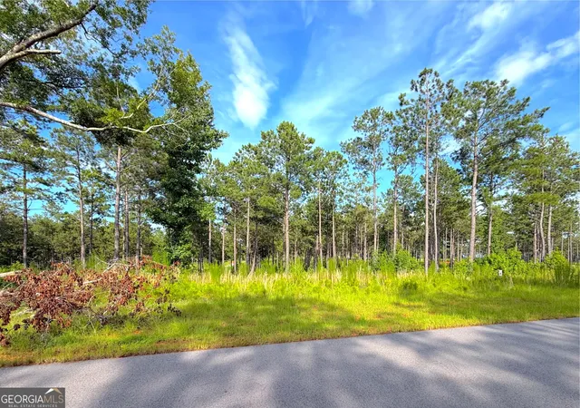 3rd image of 224 Whispering Ridge #LOT 14, Milledgeville, GA 31061 | MLS# 10813228