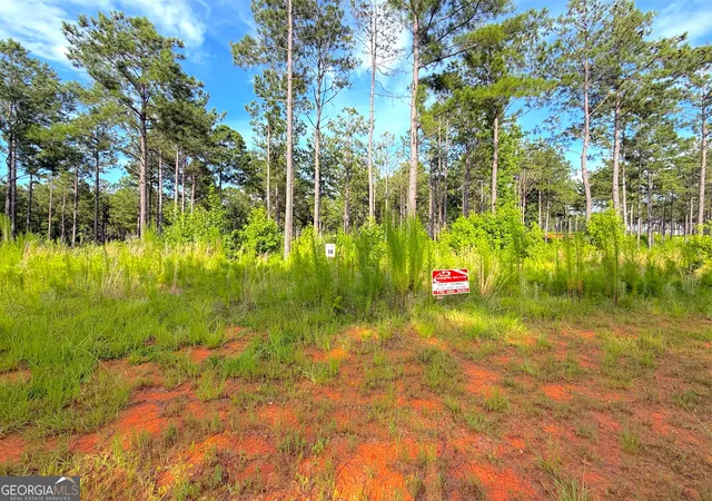4th image of 224 Whispering Ridge #LOT 14, Milledgeville, GA 31061 | MLS# 10813228
