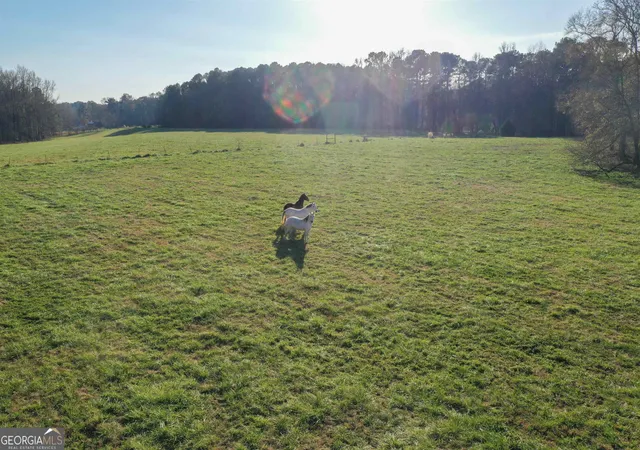 Photo 4 of House for sale at 196 Acres Grant Rd, Fayetteville, GA 30215 | MLS# 10682947 | Listing updated on 2026-09-13
