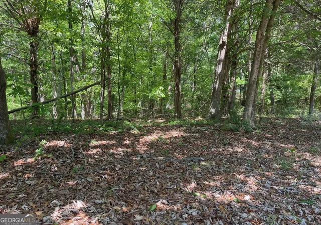 1st image of Tract 1a Chalcrest Wy, Cave Spring, GA 30124 | MLS# 10818109