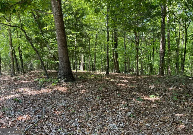 2nd image of Tract 1a Chalcrest Wy, Cave Spring, GA 30124 | MLS# 10818109