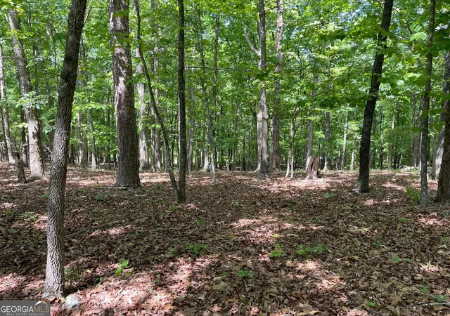 Photo 3 of Land for sale at Tract 1a Chalcrest Way, Cave Spring, GA 30124 | MLS# 10818109 | Listing updated on 2026-08-17