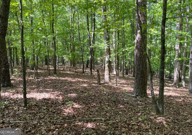 Photo 3 of Land for sale at Tract 1a Chalcrest Way, Cave Spring, GA 30124 | MLS# 10818109 | Listing updated on 2026-08-17