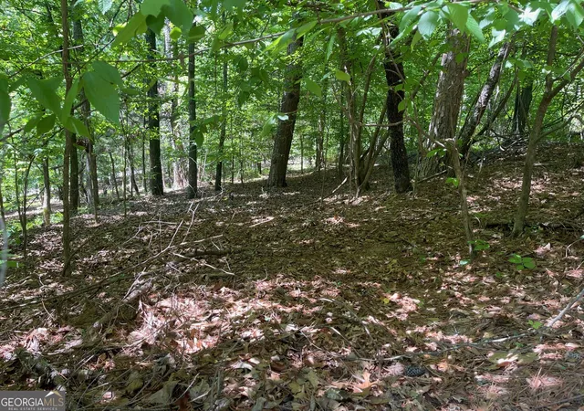 Photo 4 of Land for sale at Tract 1a Chalcrest Way, Cave Spring, GA 30124 | MLS# 10818109 | Listing updated on 2026-08-17