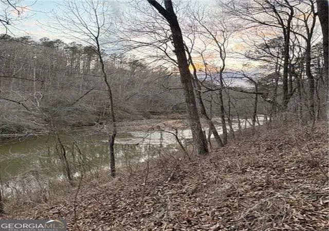 2nd image of 0 Shady Grove Church Rd, Talking Rock, GA 30175 | MLS# 10767192
