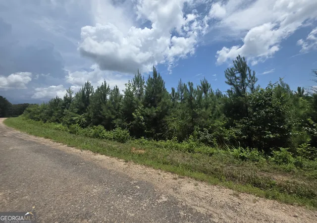 3rd image of 0 Wehunt Rd, Covington, GA 30016 | MLS# 10808994