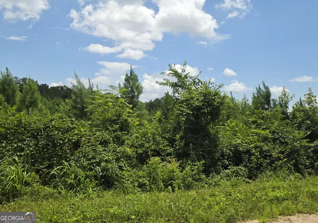 4th image of 0 Wehunt Rd, Covington, GA 30016 | MLS# 10808994