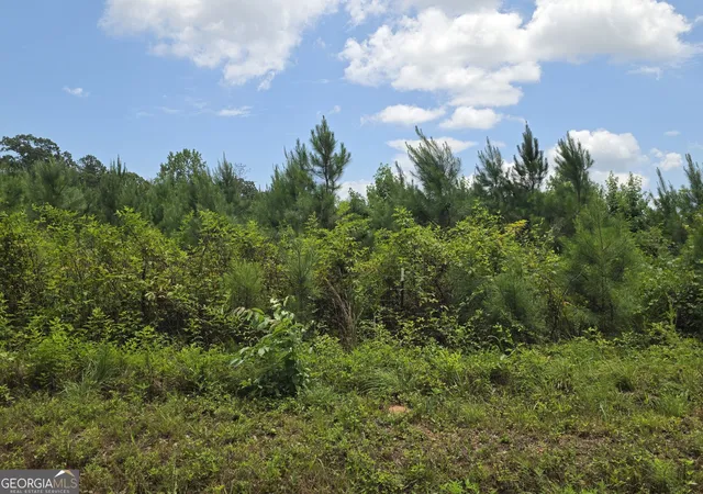 5th image of 0 Wehunt Rd, Covington, GA 30016 | MLS# 10808994