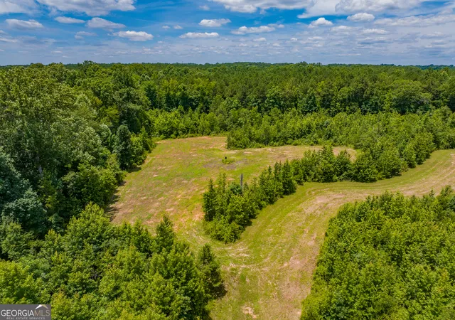 1st image of 477 Acres Cochran Rd, Madison, GA 30650 | MLS# 10794794