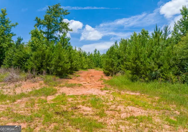 4th image of 477 Acres Cochran Rd, Madison, GA 30650 | MLS# 10794794