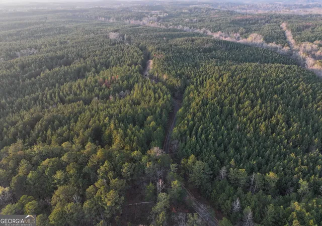Homes for sale in Franklin, GA | 94 +/- Acres On Edwards Road, Franklin, GA 30217 | MLS# 10774841