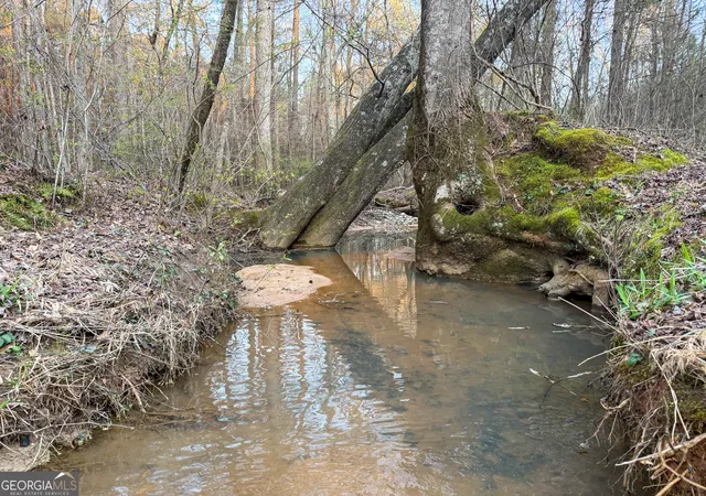Homes for sale in Franklin, GA | 94 +/- Acres On Edwards Road, Franklin, GA 30217 | MLS# 10774841