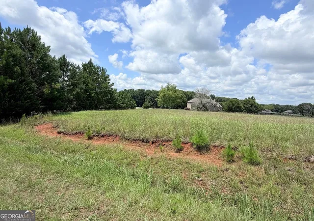 9th image of 15 Meadow View Ct, Social Circle, GA 30025 | MLS# 10809777