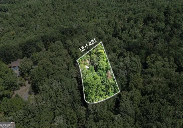 3rd image of 224 Dragon Tree Ln, Lakemont, GA 30552 | MLS# 10773097