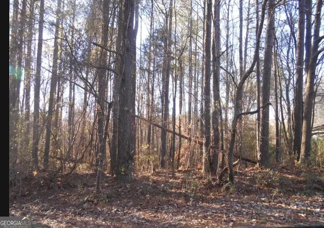 Photo 1 of Land for sale at 0 Bartlett Cir, Bowdon, GA 30108 | MLS# 10827984 | Listing updated on 2026-09-01