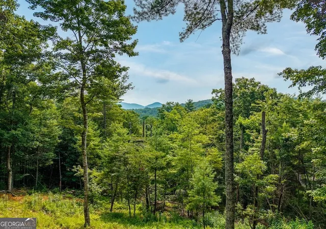 3rd image of 120 Bell Camp Ridge Road, Blue Ridge, GA 30513 | MLS# 10827417