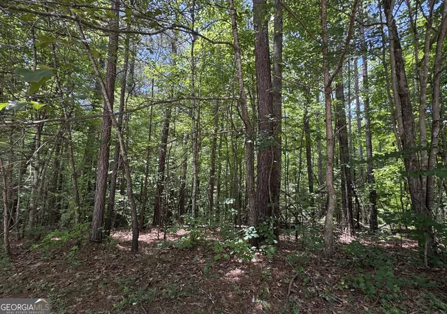 Homes for sale in Bremen, GA | 201 Stonebridge Blvd, Bremen, GA 30110 | MLS# 10786850