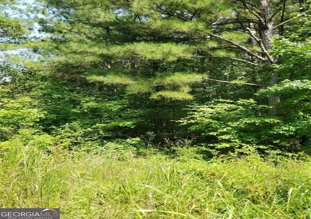 1st image of 000 Dean Rd, Aragon, GA 30104 | MLS# 10835396