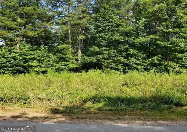 3rd image of 000 Dean Rd, Aragon, GA 30104 | MLS# 10835396