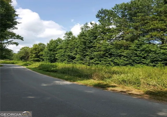 4th image of 000 Dean Rd, Aragon, GA 30104 | MLS# 10835396