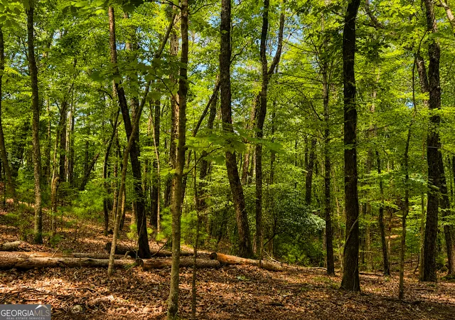 Photo 1 of Land for sale at J208 Pine Ridge Rd, Ellijay, GA 30536 | MLS# 10821643 | Listing updated on 2026-10-04