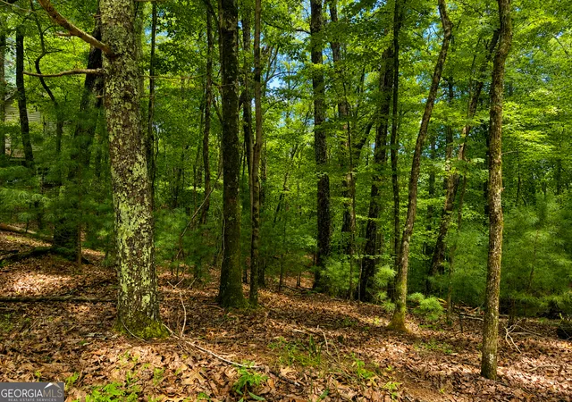 Photo 1 of Land for sale at J208 Pine Ridge Rd, Ellijay, GA 30536 | MLS# 10821643 | Listing updated on 2026-10-04