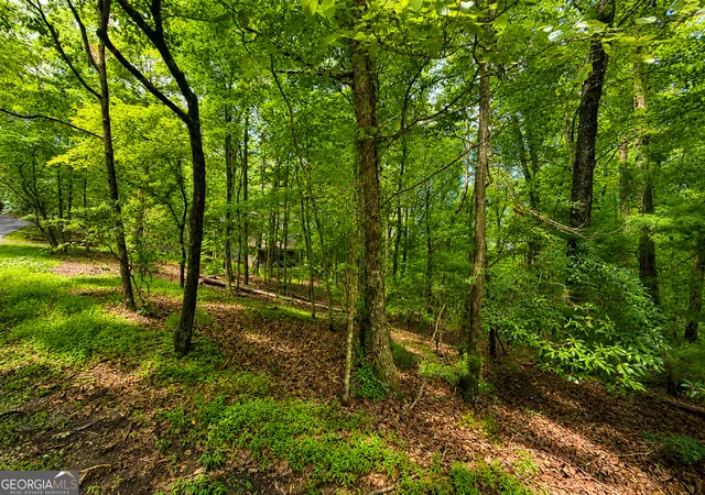 Photo 2 of Land for sale at J208 Pine Ridge Rd, Ellijay, GA 30536 | MLS# 10821643 | Listing updated on 2026-10-04