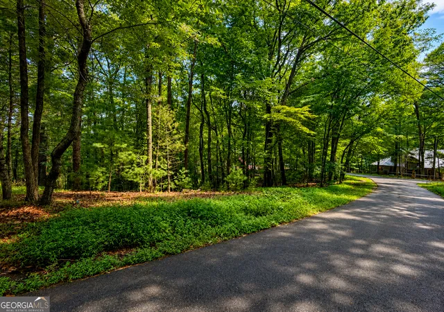 Photo 3 of Land for sale at J208 Pine Ridge Rd, Ellijay, GA 30536 | MLS# 10821643 | Listing updated on 2026-10-04