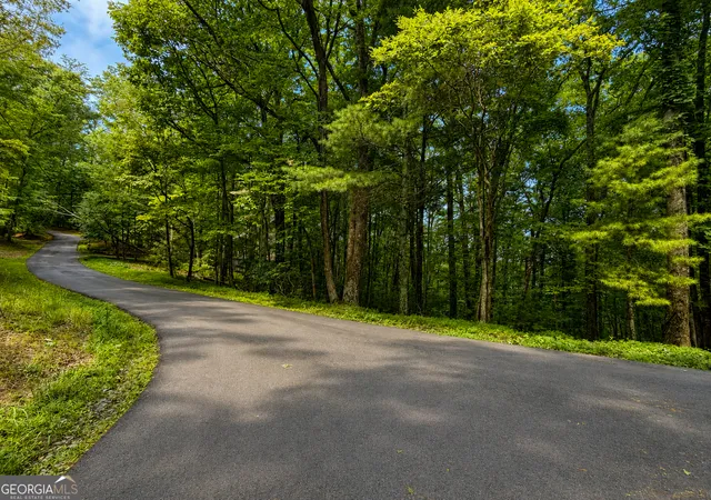 Photo 4 of Land for sale at J208 Pine Ridge Rd, Ellijay, GA 30536 | MLS# 10821643 | Listing updated on 2026-10-04