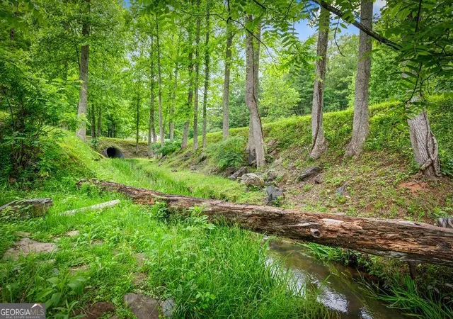 3rd image of 1898 Kimsey Dairy Rd, Turtletown, TN 37391 | MLS# 10783859