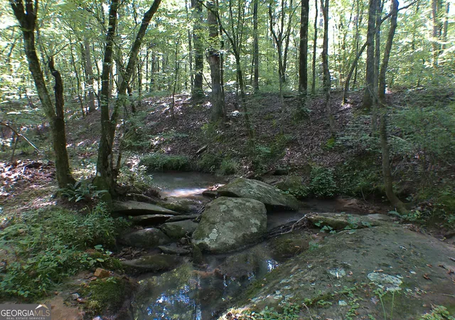 Photo 4 of Land for sale at 00 Mt Tabor Rd, Oxford, GA 30054 | MLS# 10560482 | Listing updated on 2026-08-17