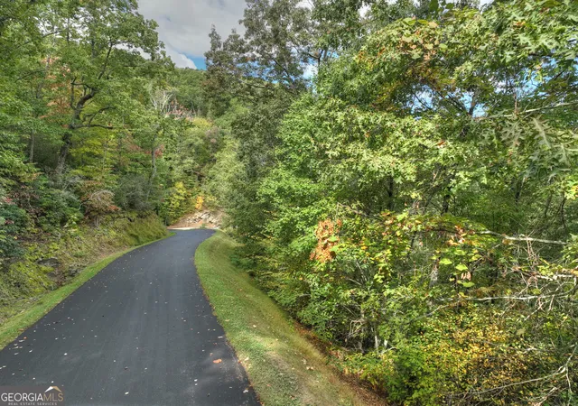 4th image of Lot 25 Utana Bluffs Trl, Ellijay, GA 30540 | MLS# 10779905