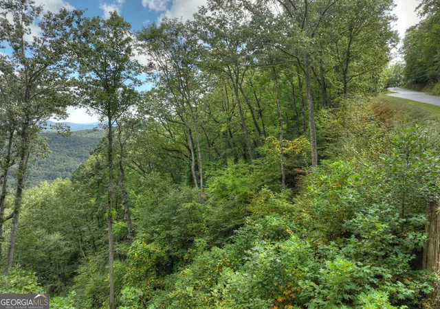 5th image of Lot 25 Utana Bluffs Trl, Ellijay, GA 30540 | MLS# 10779905