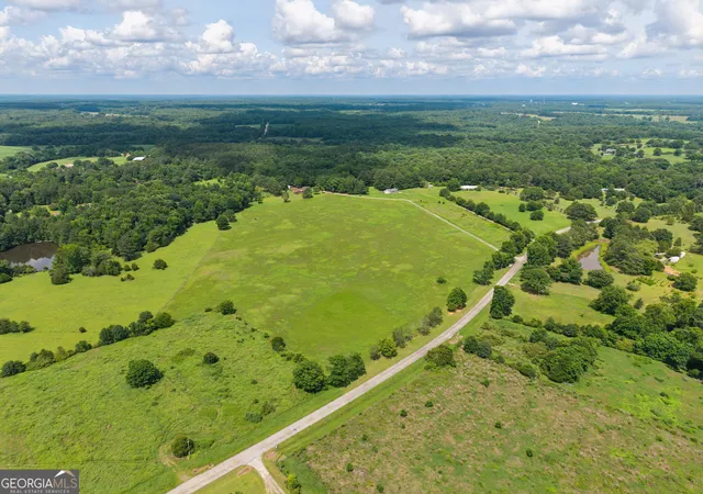 3rd image of 1231 Thankful Rd, Madison, GA 30650 | MLS# 10790527