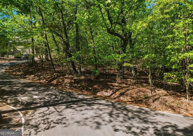 3rd image of 1095 Mcelroy Mountain Dr, Jasper, GA 30143 | MLS# 10811456