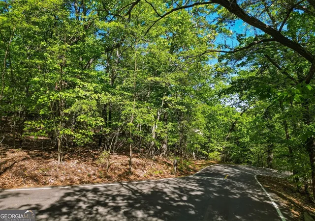 4th image of 1095 Mcelroy Mountain Dr, Jasper, GA 30143 | MLS# 10811456