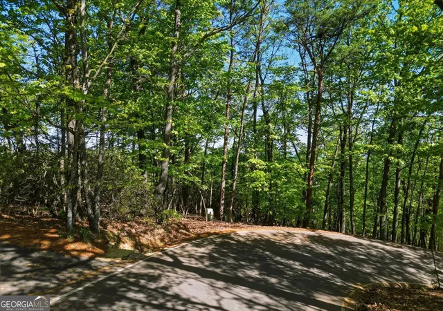 5th image of 1095 Mcelroy Mountain Dr, Jasper, GA 30143 | MLS# 10811456
