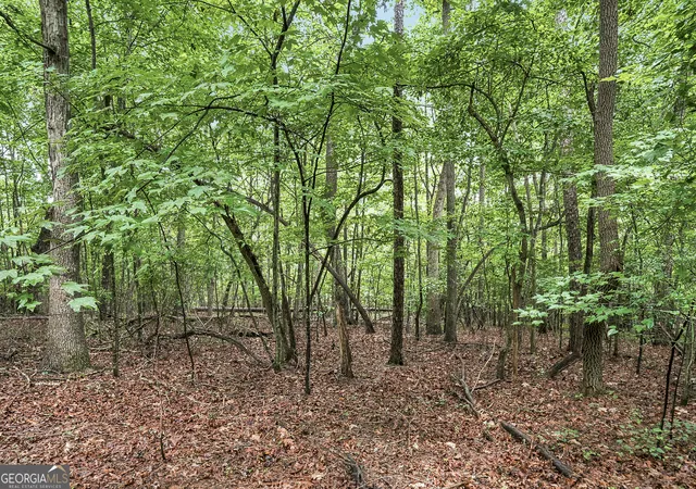 Photo 3 of Land for sale at Lot 58 Red Bud Ln, Ellijay, GA 30540 | MLS# 10811787 | Listing updated on 2026-08-24