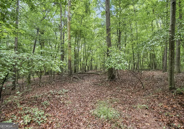 Photo 4 of Land for sale at Lot 58 Red Bud Ln, Ellijay, GA 30540 | MLS# 10811787 | Listing updated on 2026-08-24
