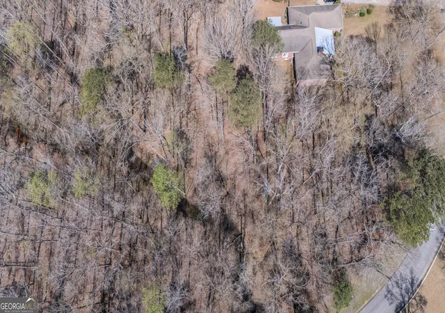 4th image of 165 Staple Creek Rd, Fayetteville, GA 30215 | MLS# 10713355